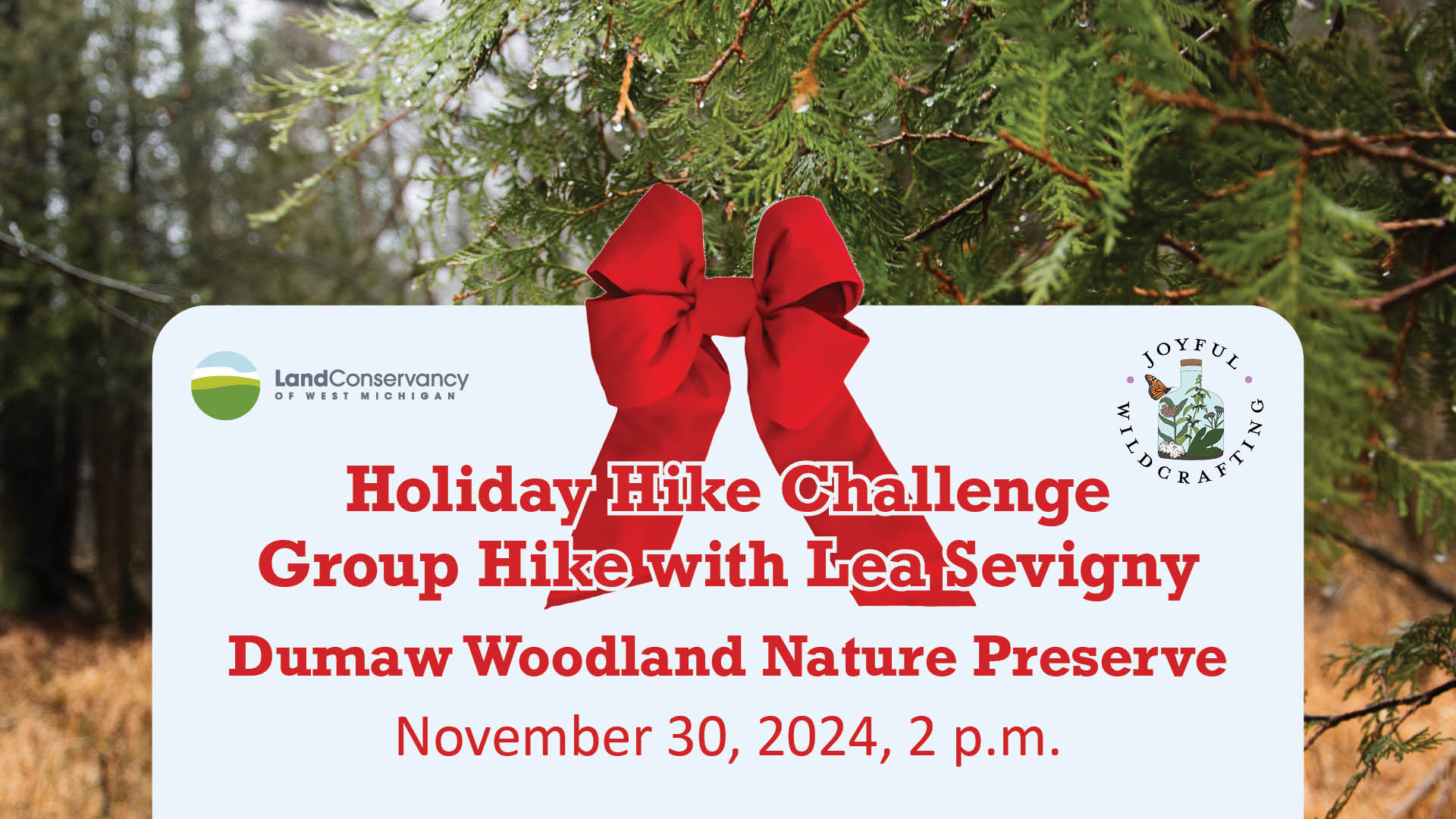 Group Hike at Dumaw Woodland