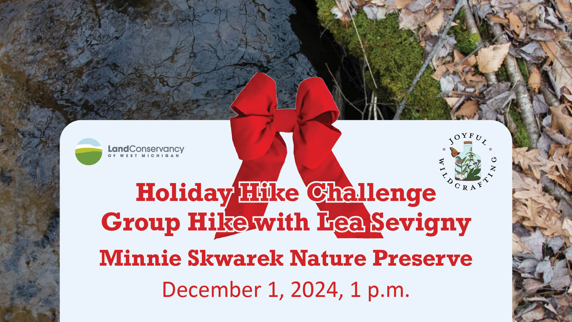 Group Hike at Minnie Skwarek