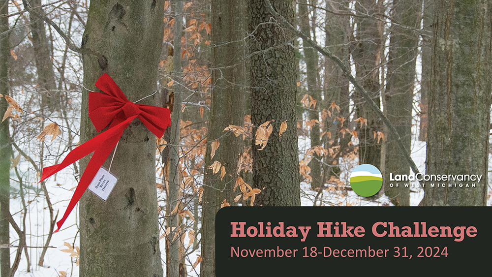 FREE Holiday Hike-Group Hike