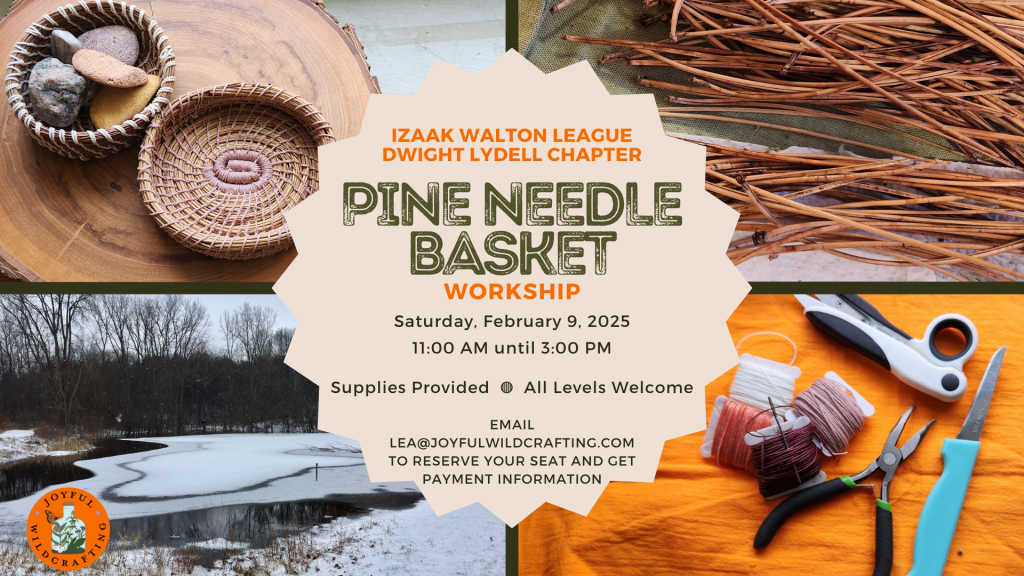 Crafting Nature's Beauty: Pine Needle Basketry Workshop