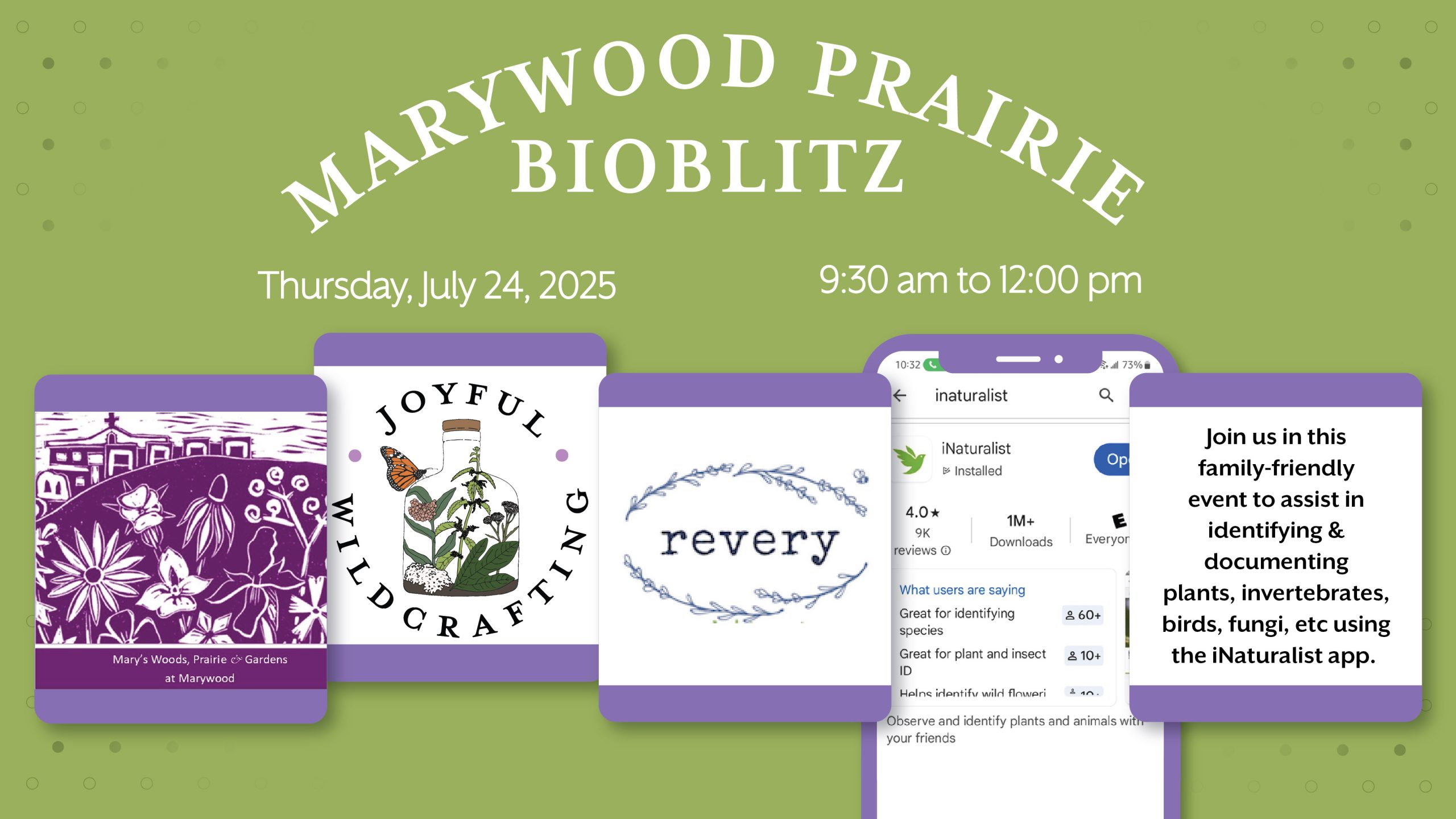 Marywood Prairie July 2025 BioBlitz