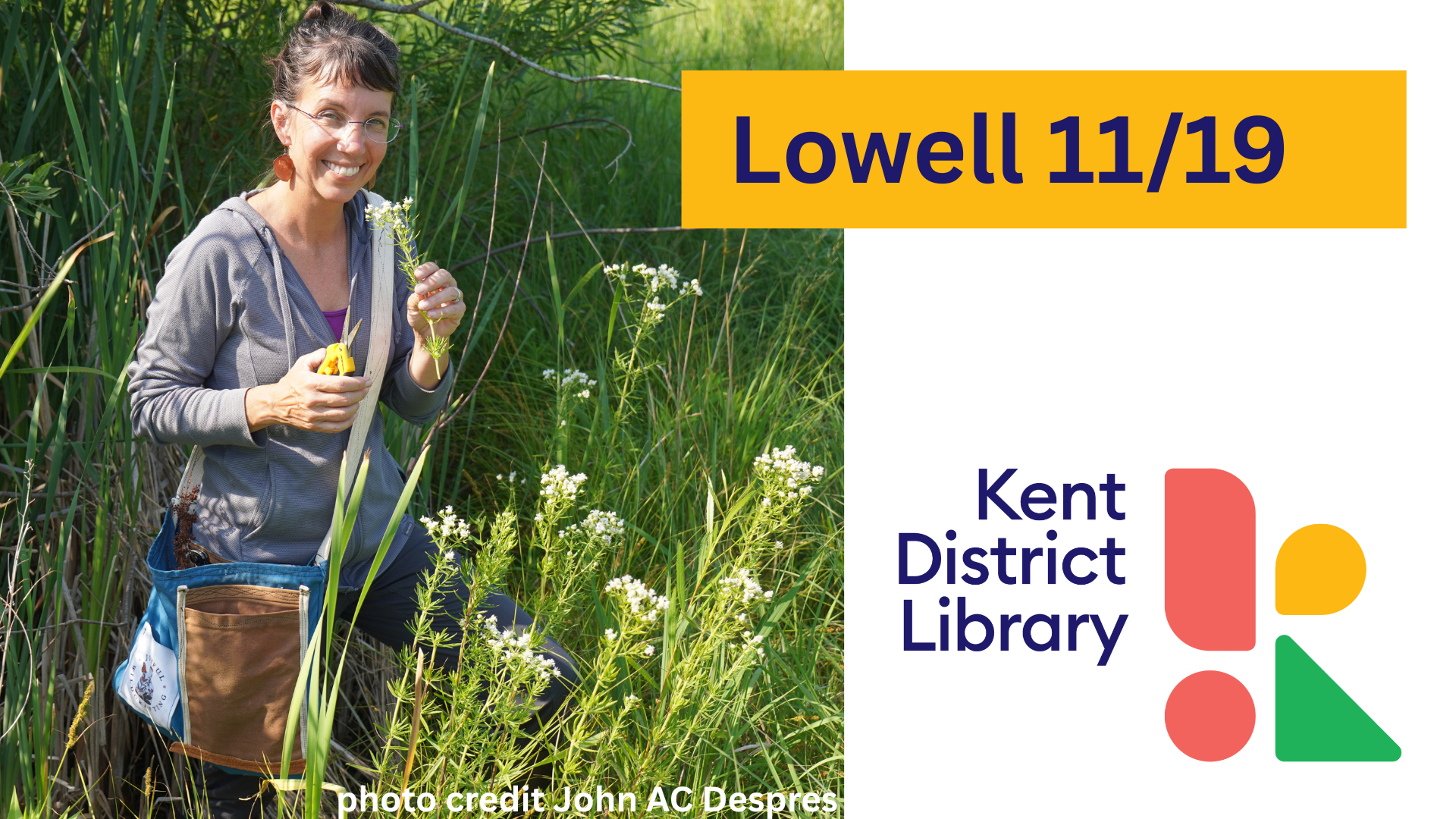 Fall Foraging: Exploring Nature's Bounty-KDL Lowell