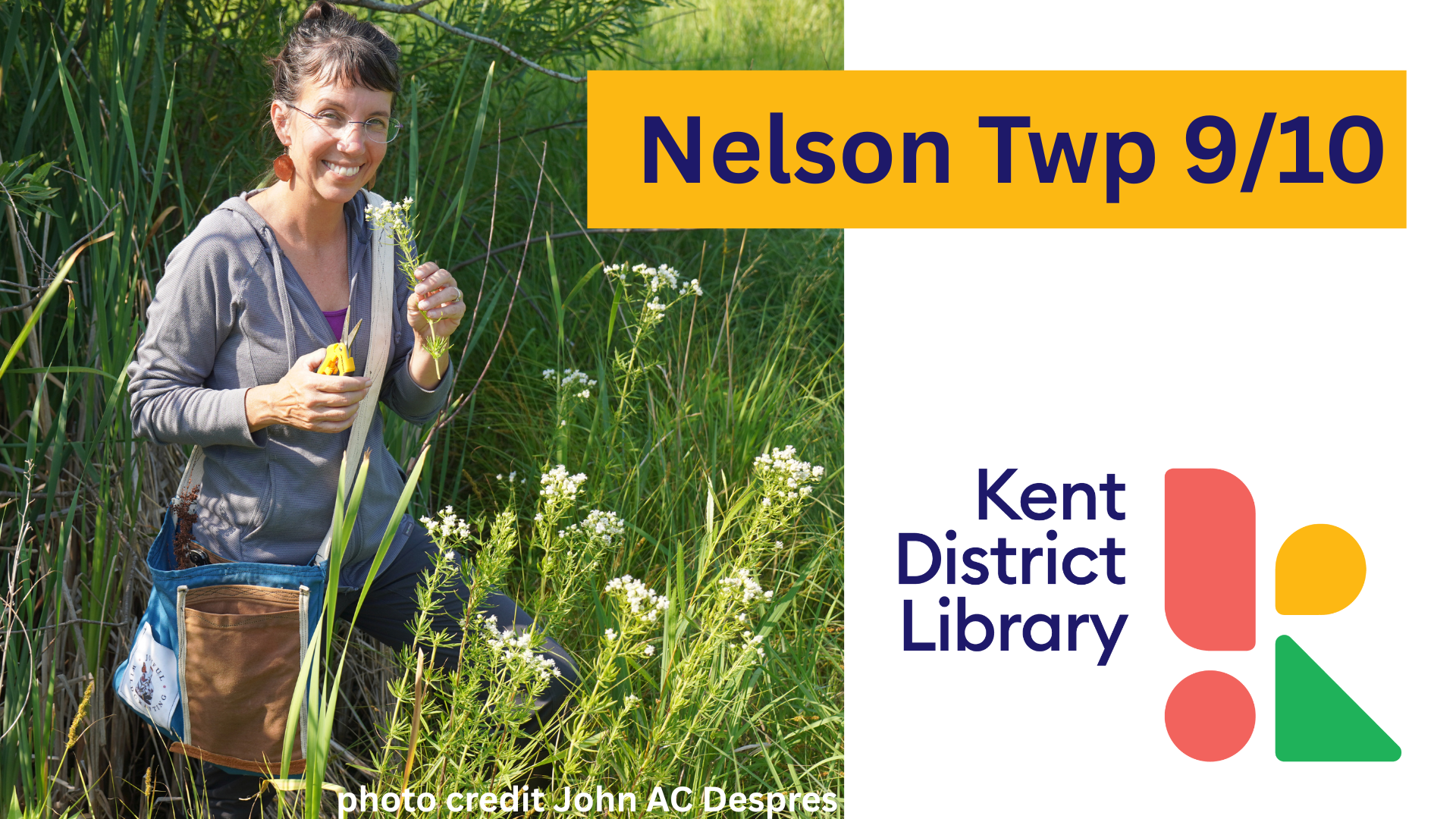 Fall Foraging: Exploring Nature's Bounty-KDL Nelson Twp