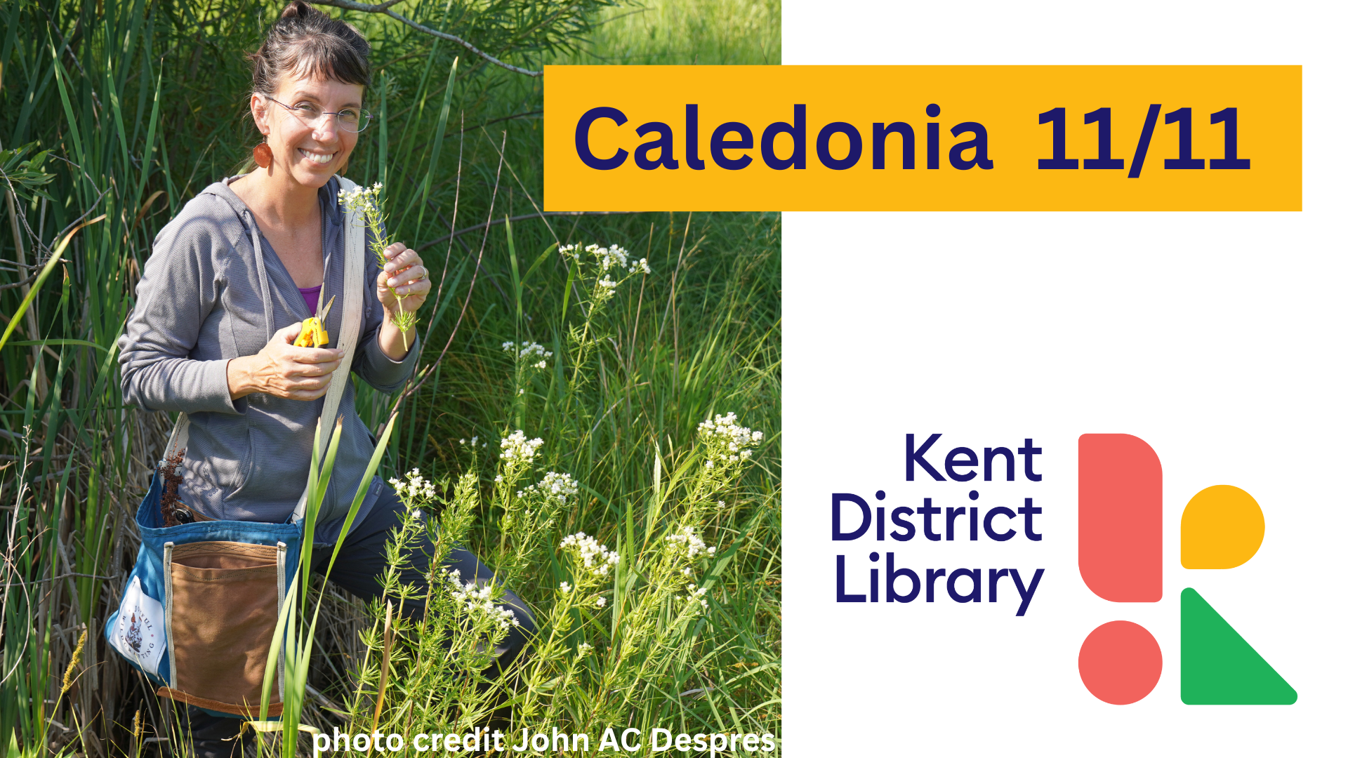 Fall Foraging: Exploring Nature's Bounty-KDL Caledonia