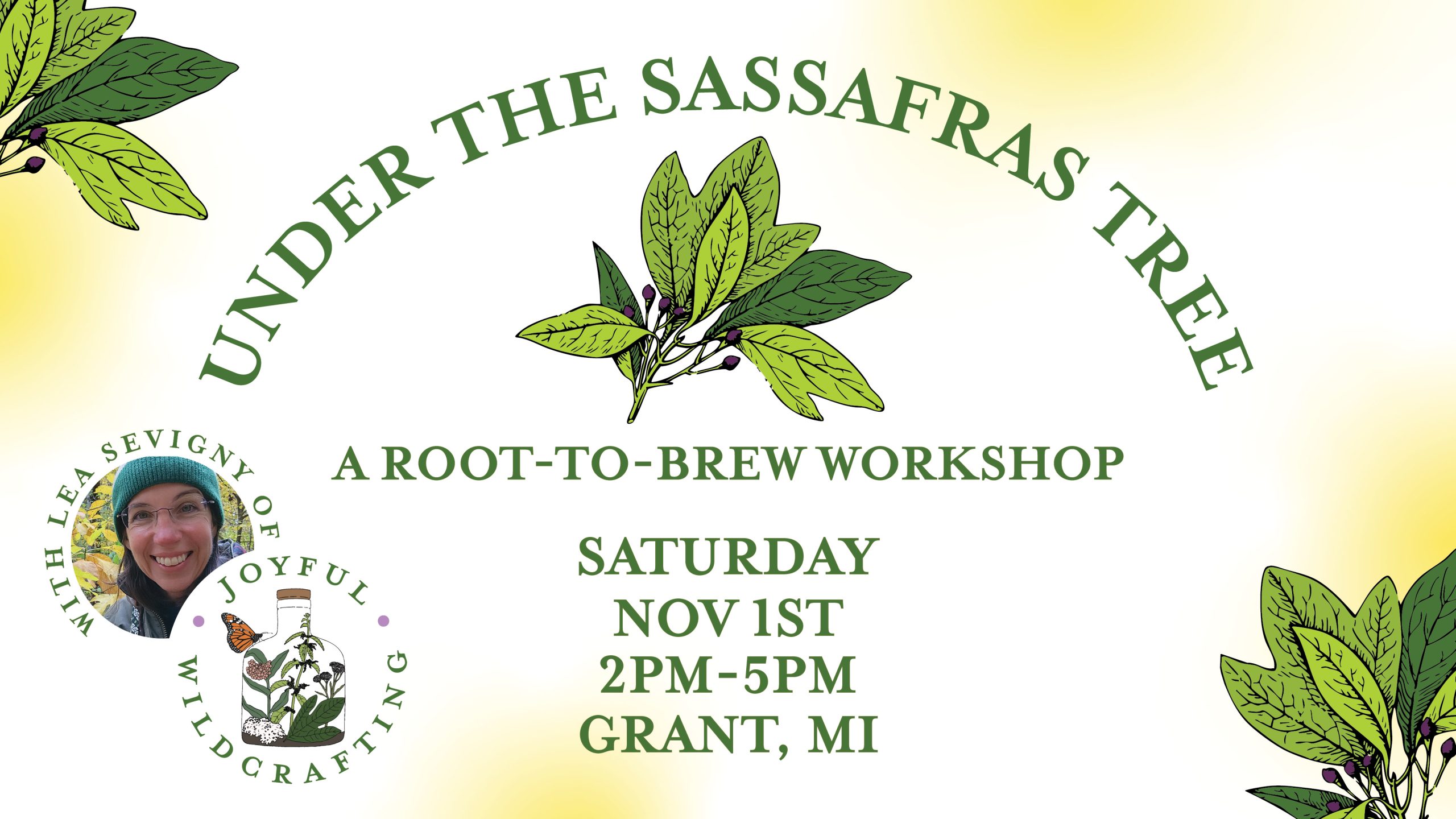 Under the Sassafras Tree: A Root-to-Brew Workshop