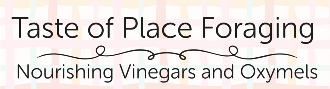 Taste of Place: Nourishing Vinegars & Oxymels